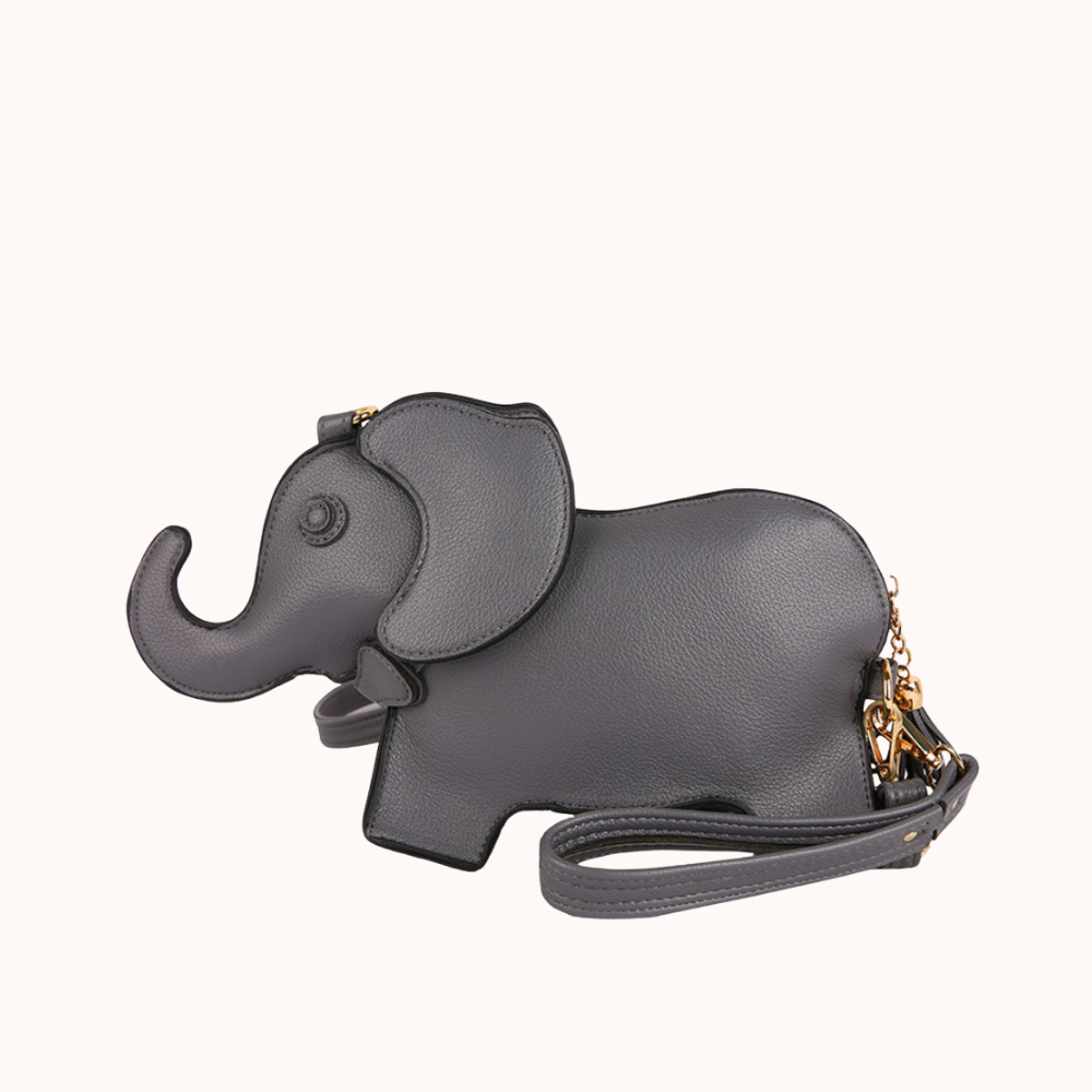 Elly Mini Bag for Women | Asverra