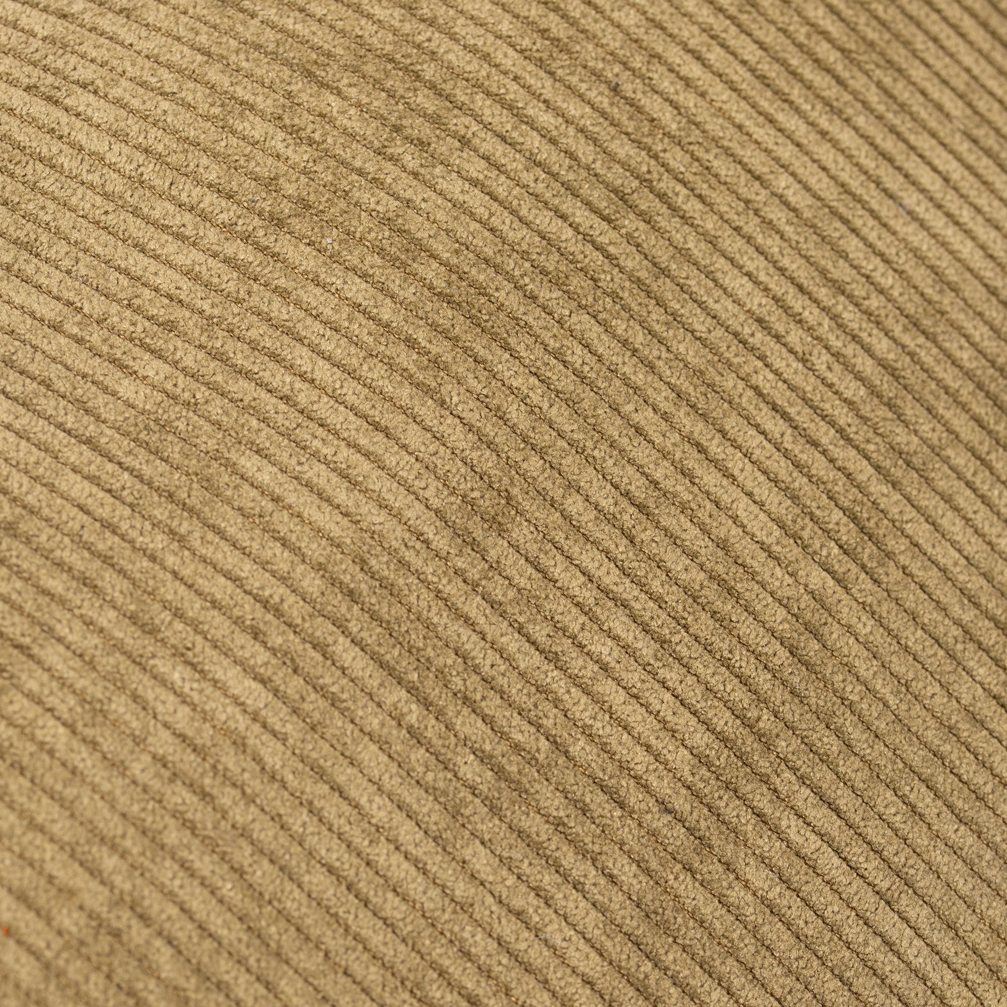 Asverra Velin Crossbody Belt Bag - Asverra