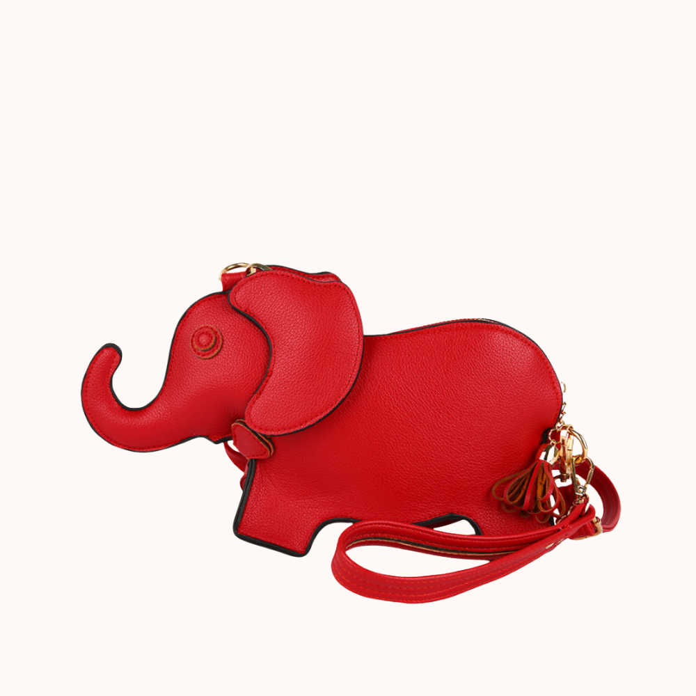 Elly Mini Bag for Women | Asverra