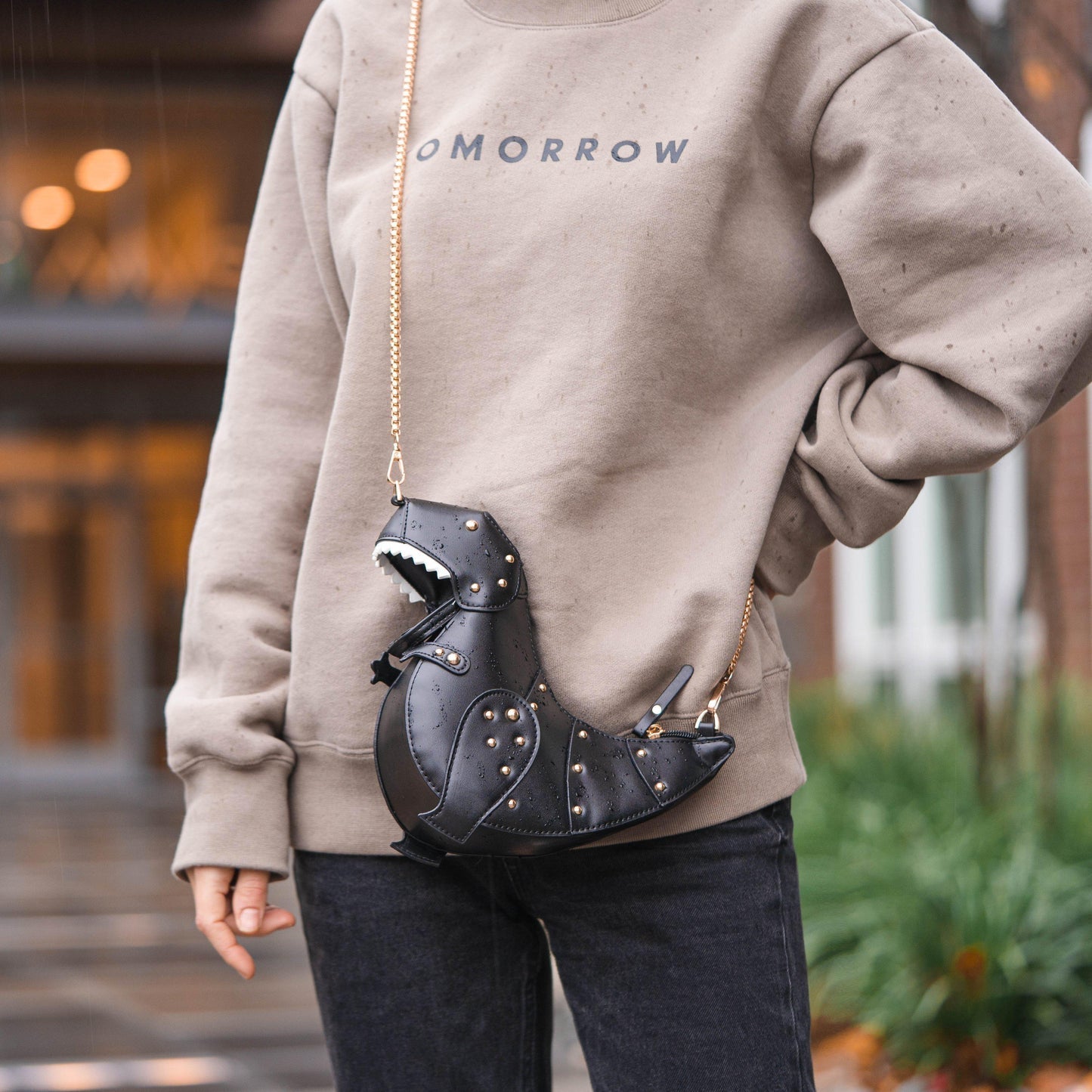 Asverra Rexy Mini Bag